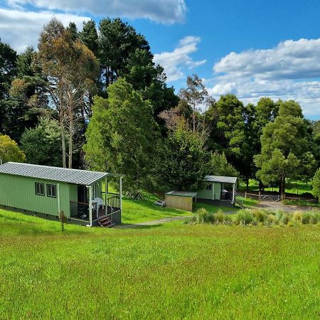 Cozy Otways Accommodation Beech Forest Exterior photo