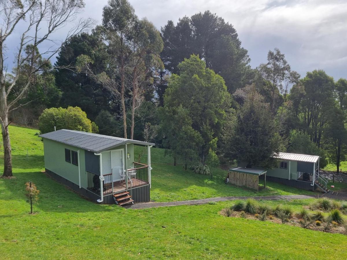 Cozy Otways Accommodation Beech Forest Exterior photo